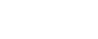 Work Bridge Partners